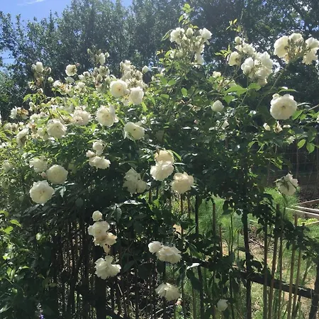 Casa vacanze Grange En Maurille Sirac