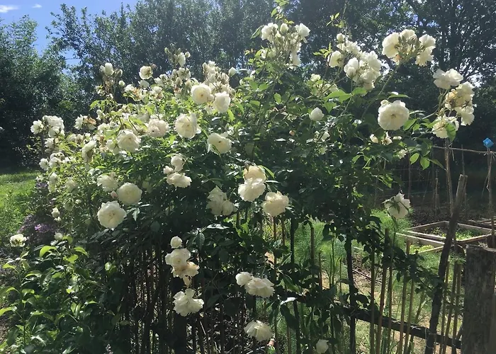 بيت للعطل Grange En Maurille Sirac